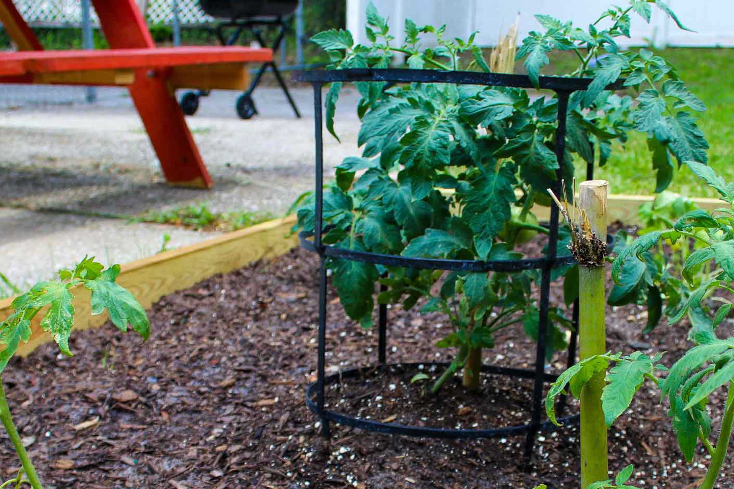 hope-house-garden